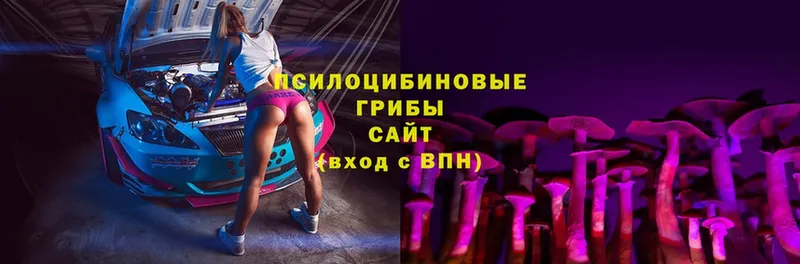 где купить   Волосово  shop какой сайт  Галлюциногенные грибы Magic Shrooms 